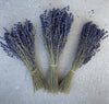 Dried Lavender // Fragrant Lavender Bunch // Lavender Flowers - CaliforniaFlowerGrowers.com
